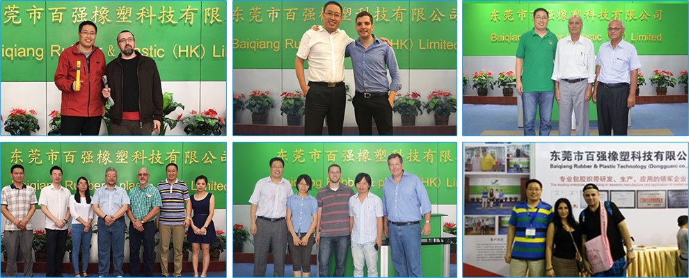 Coated Webbing; TPU coated webbing; PVC coated webbing